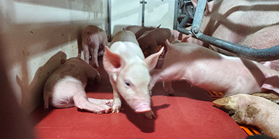 車輛洗消中心設計要求（規(guī)劃要求）？